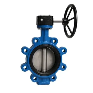 Lug Type Butterfly Valve